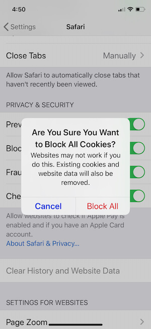 Cómo habilitar cookies en Safari en iPhone iPad iOS 17