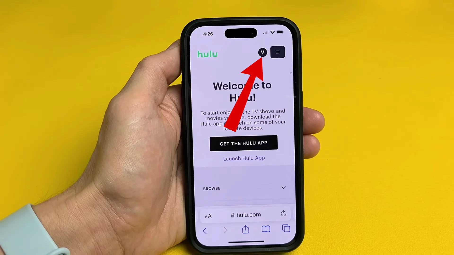 How to Delete Your Hulu Account in 5 Easy Steps [with Pics]