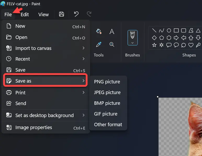 Cum să eliminați fundalul unei imagini în Windows 11 gratuit