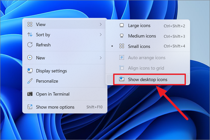 Come modificare le dimensioni dell'icona in Windows 11