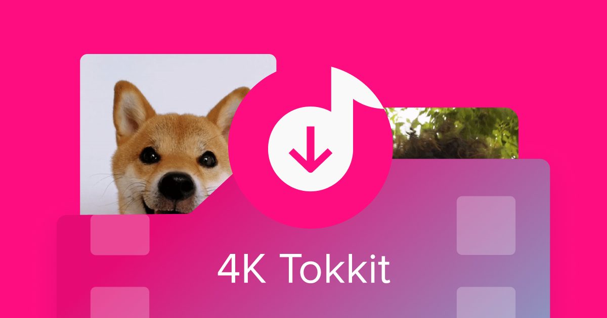 4K TokkitでTiktokビデオをダウンロードする方法は?