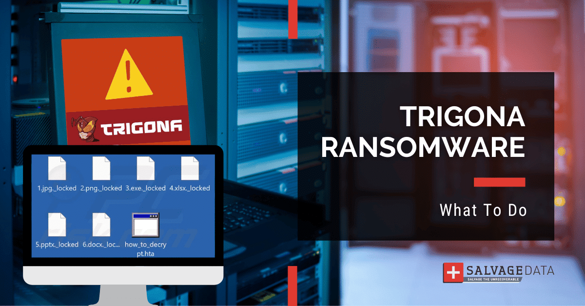 Trigona Ransomware: Повні путівники