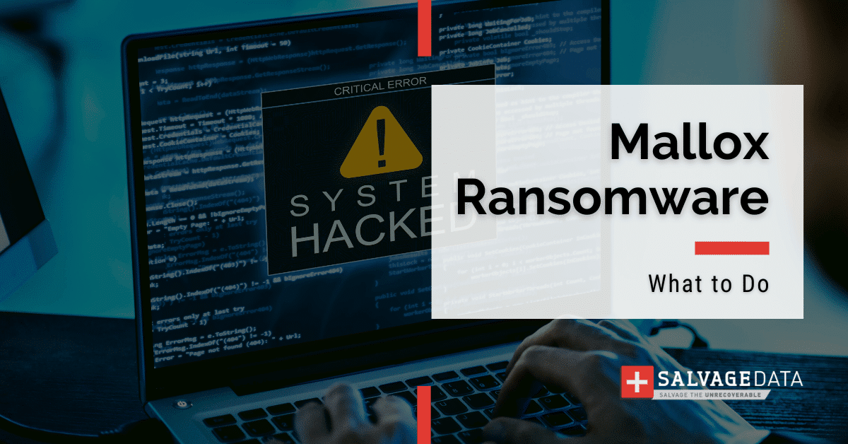 Ransomware de Mallox: comment supprimer et prévenir