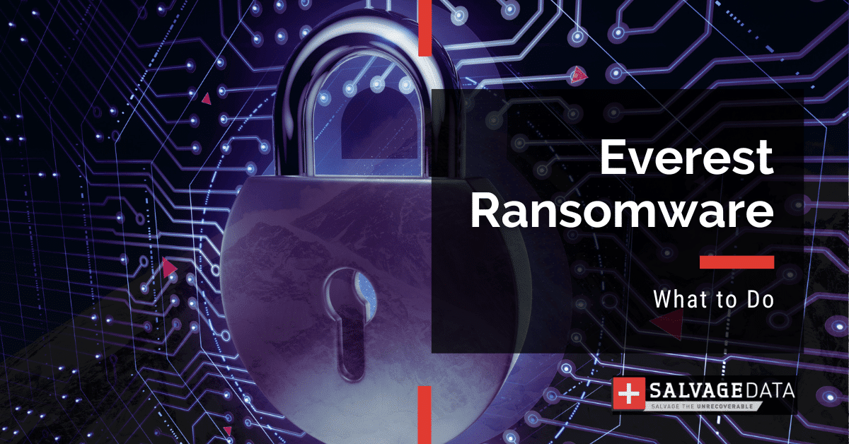 Ransomware Everest: guía completa
