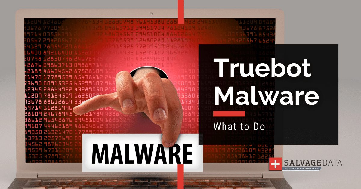 Malware TrueBot: guía completa