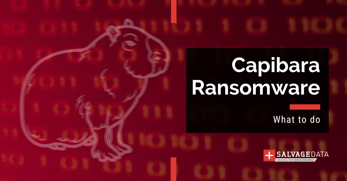 Capibara Ransomware: Co je to a jak odstranit