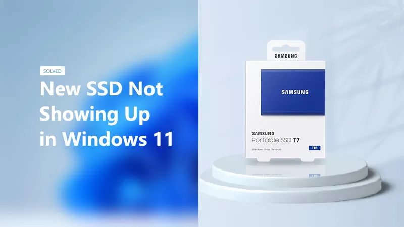 Gelöst SSD wird in Windows 11 nicht angezeigt