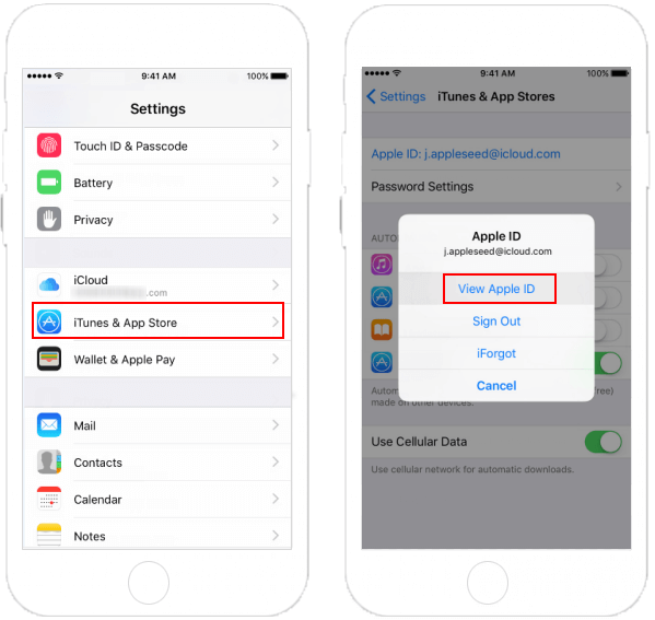 Supprimer le mode de paiement de l'ID Apple sur iPhone / iPad / Mac