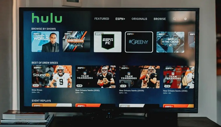 Cómo arreglar Hulu sigue chocando en Firestick y Smart TV