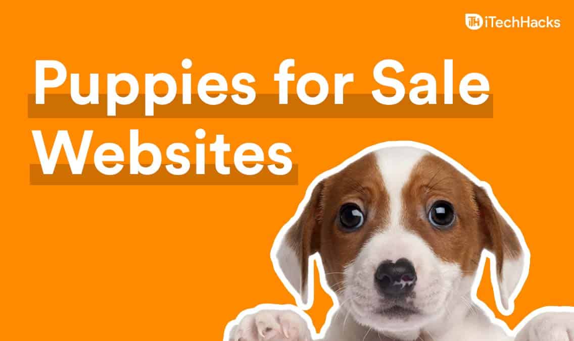 Top 10 beste puppy's te koop websites (2025)