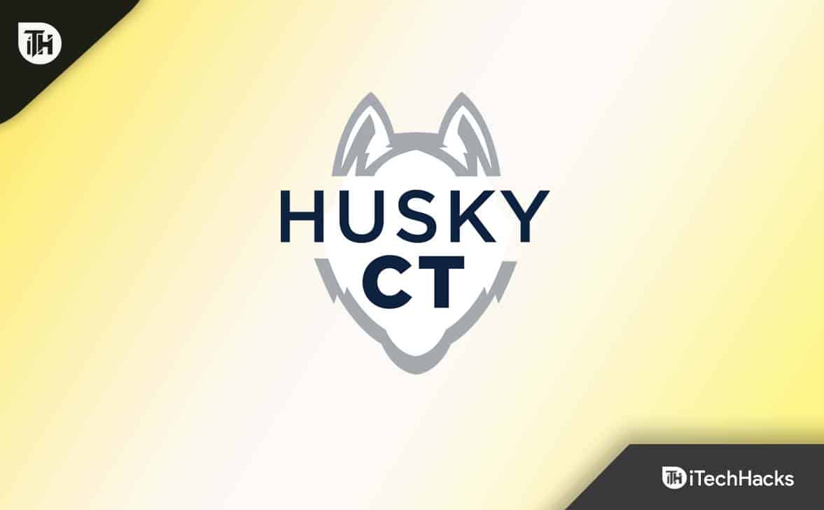 „HuskyCT Prisijungimas 2024“: visas „Uconn HuskyCT“ vadovas