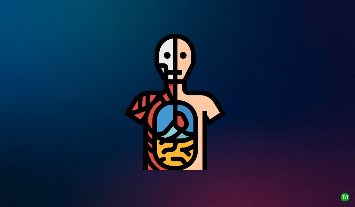 10 meilleures applications d'anatomie pour les étudiants en médecine (GRATUIT et payé)