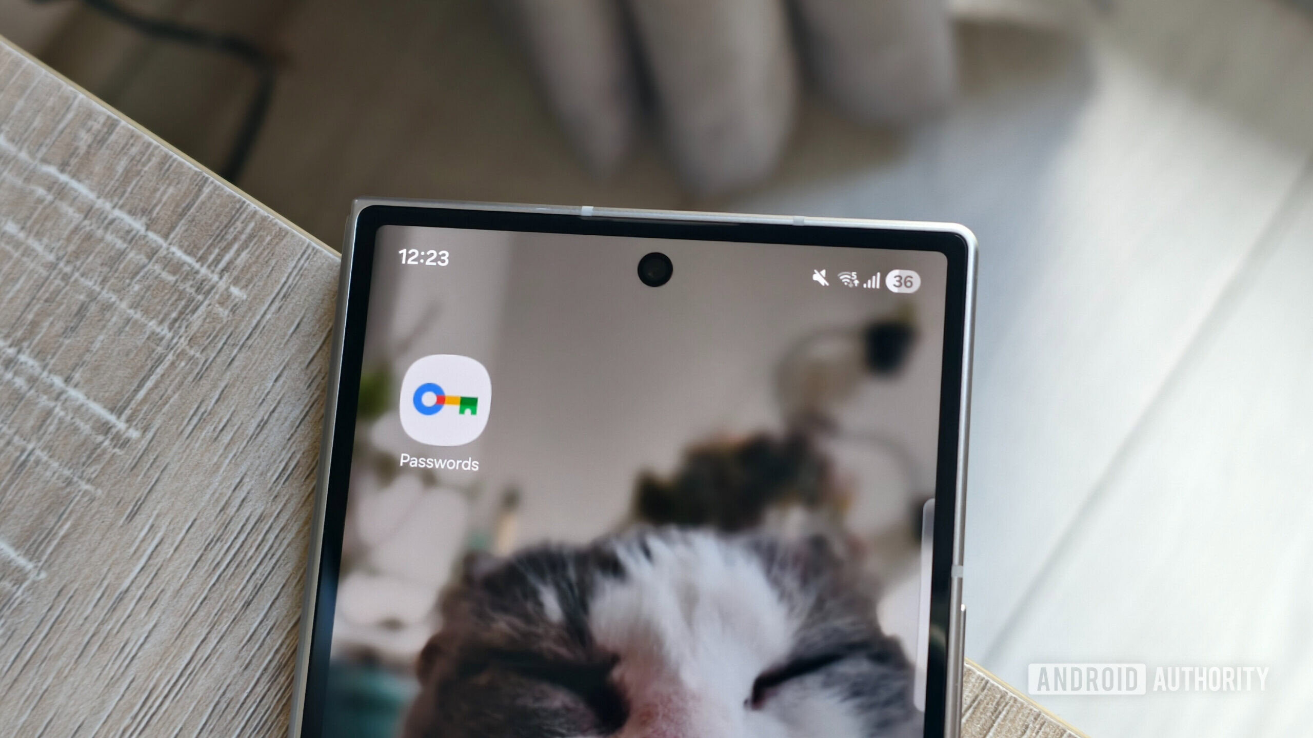 La nueva aplicación de contraseñas de Google me hizo más fácil abandonar Chrome