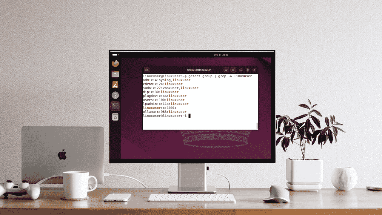 Jak sprawdzić grupy użytkowników w Linux