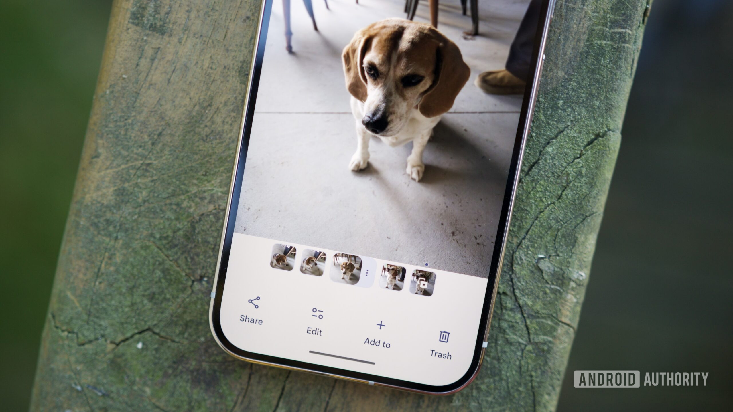 Google Foto ora corregge le palpebre e le sfocature con l'aiuto di Nano Banana