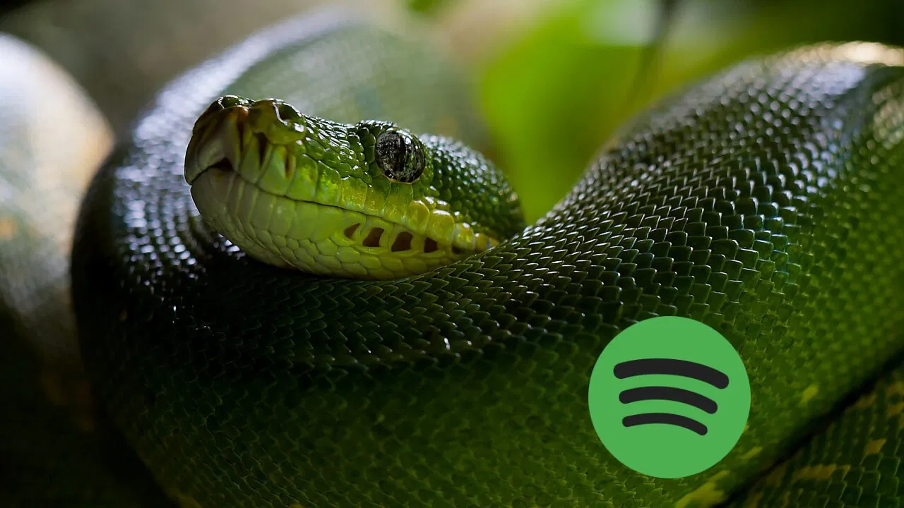 So spielen Sie das Hidden Snake-Spiel von Spotify