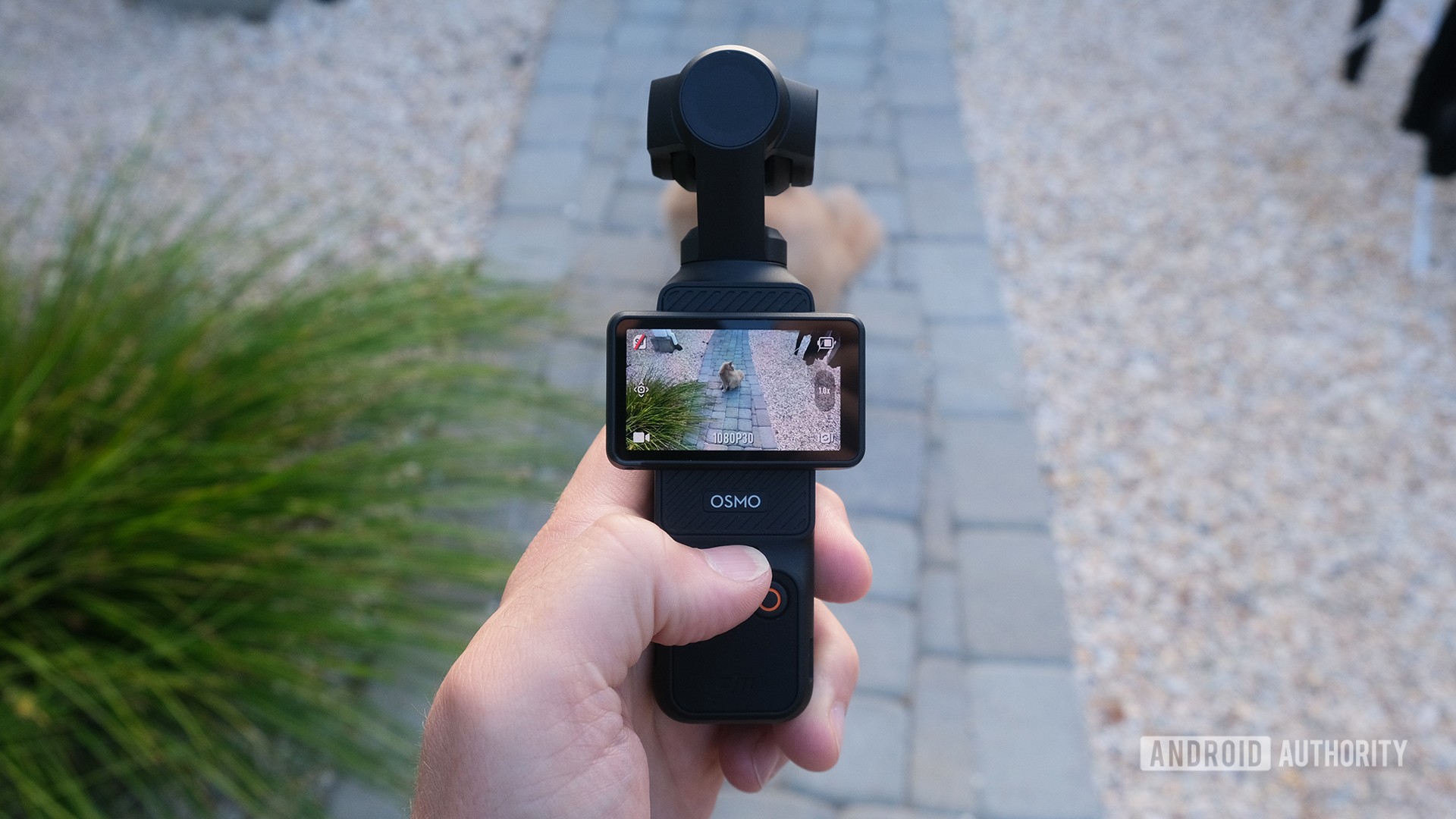 Du har frem til søndag på å spare $270 på DJI Osmo Pocket 3-kameraet