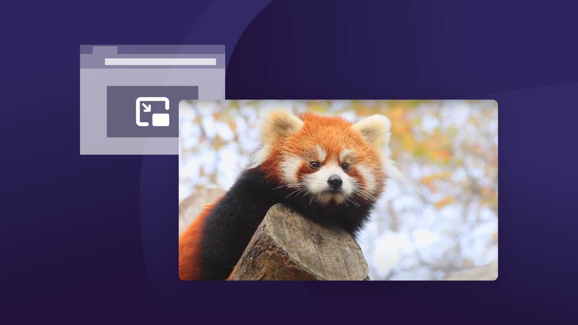 Firefox permet désormais aux vidéos de rester en image dans l'image lorsque vous changez d'onglet