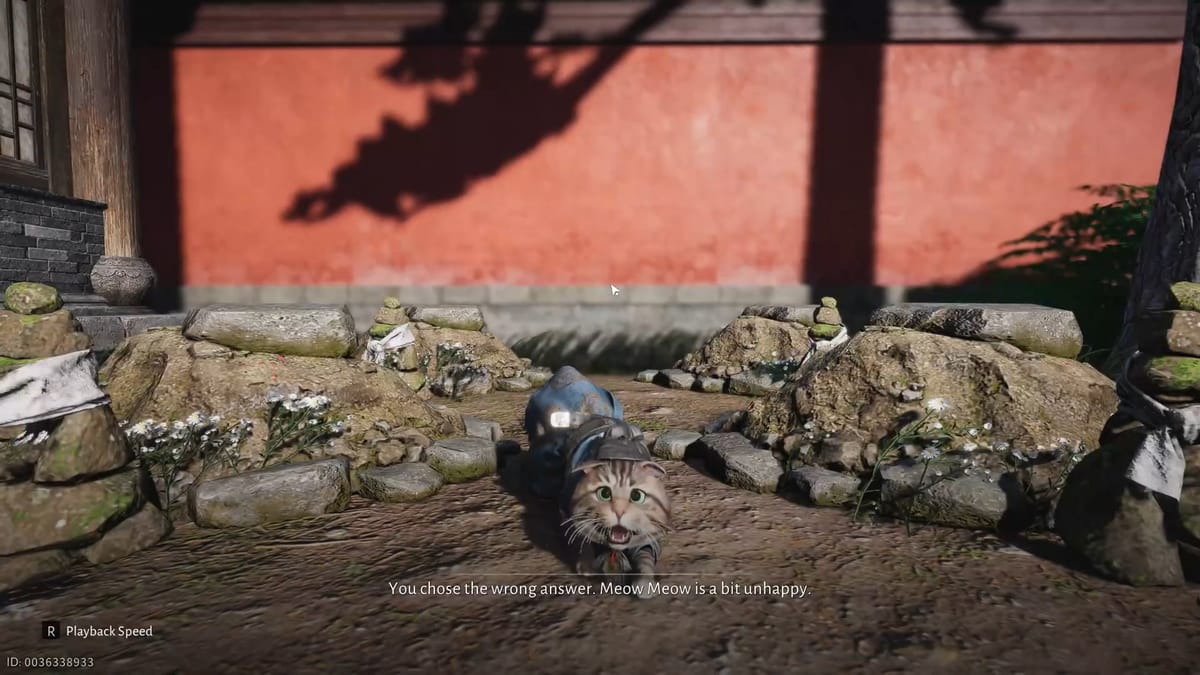 ニャーニャーなぞなぞ