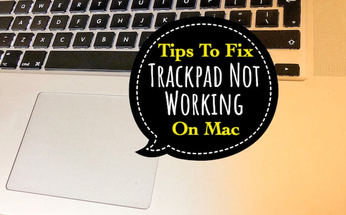 Fixa MacBook TrackPad fungerar inte efter Sequoia 