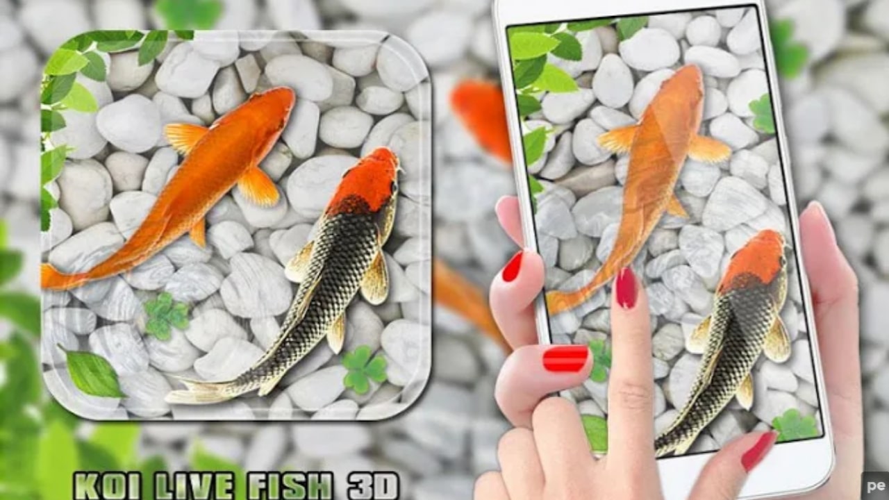 Fono programa „Fish Live Wallpaper Aquarium Koi“: viskas, ką reikia žinoti