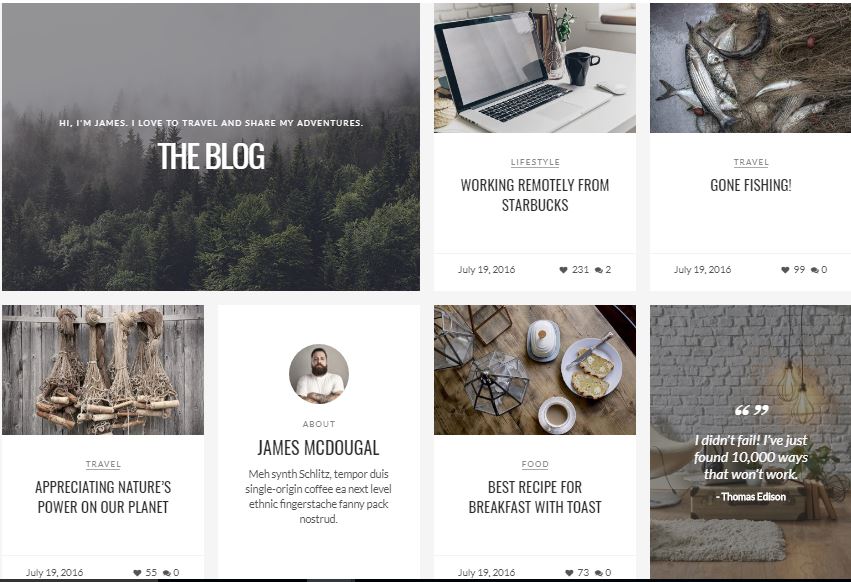 10 Meilleur style Instagram comme le thème WordPress