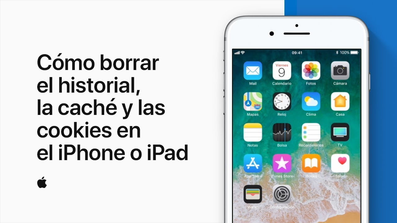 ¿Cómo borrar las cookies en mi iPad?