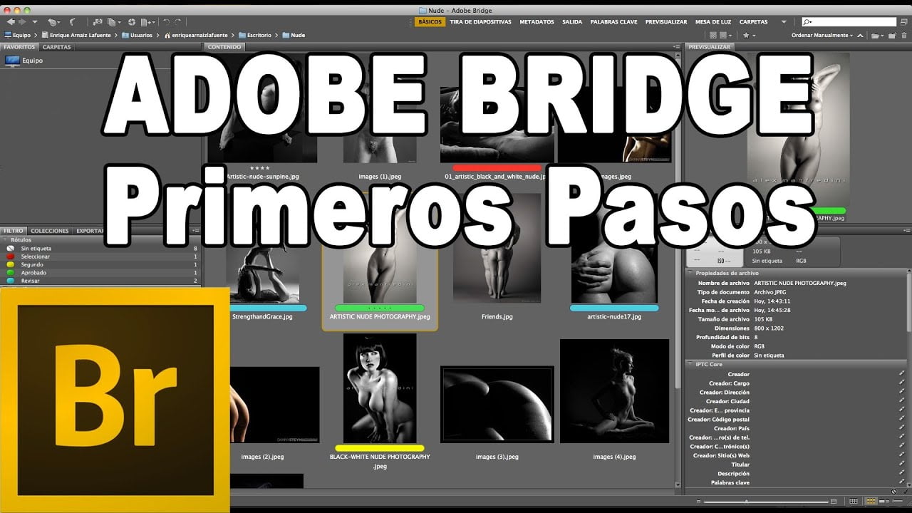 Τι είναι το Adobe Bridge και σε τι χρησιμεύει;