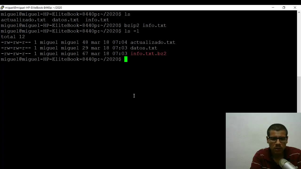 LinuxのBZIP2とは何ですか？