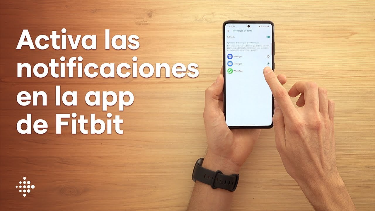 Kas yra „Fitbit“ programa?