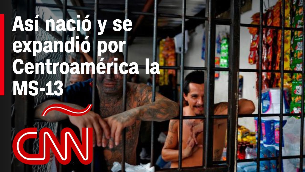 ¿Qué significa el número 13 en la Mara Salvatrucha?