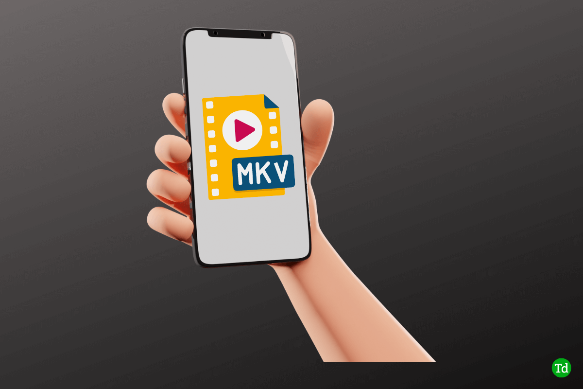 MKV Dosyalarını Dönüştürmeden iPhone'da Nasıl Oynatılır