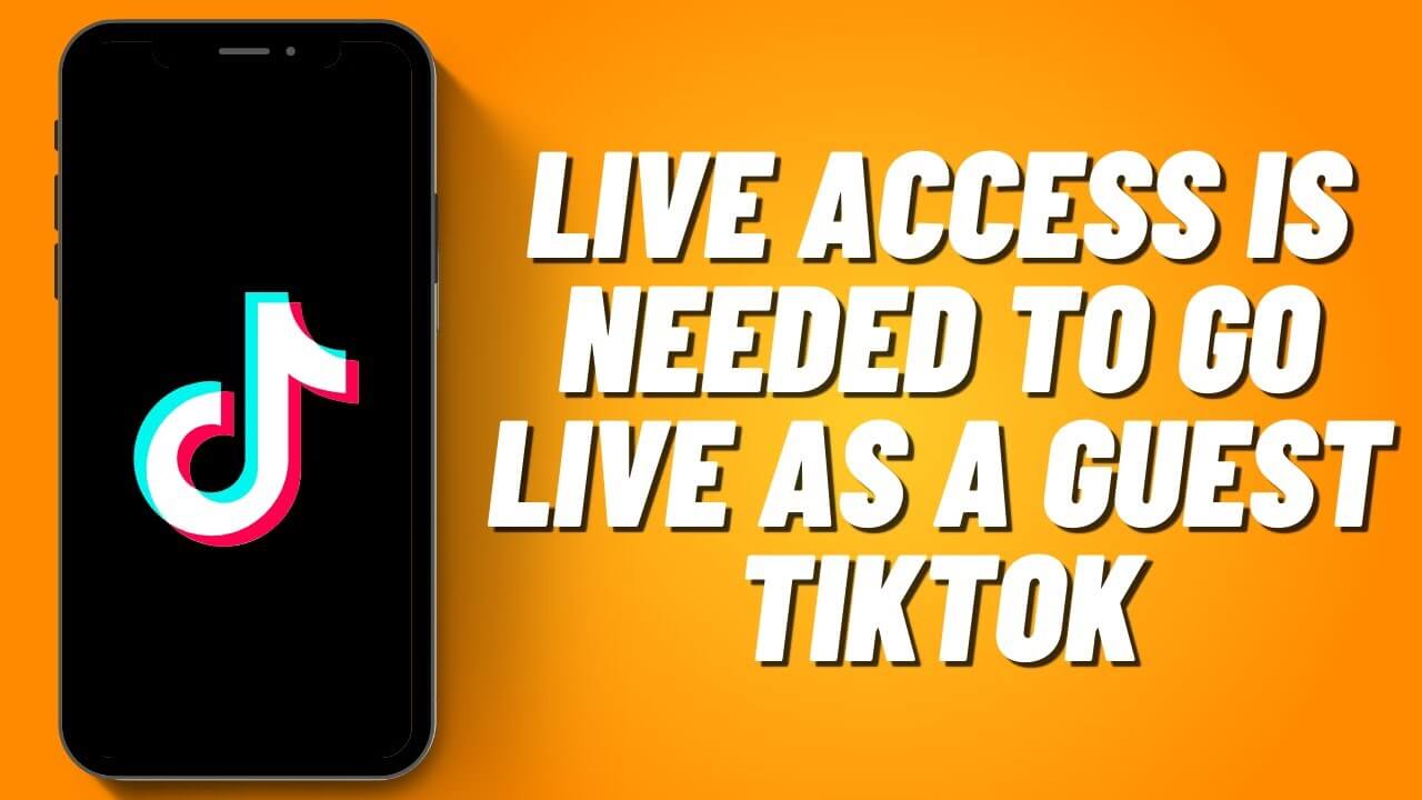 8 Korrekturen für den Live