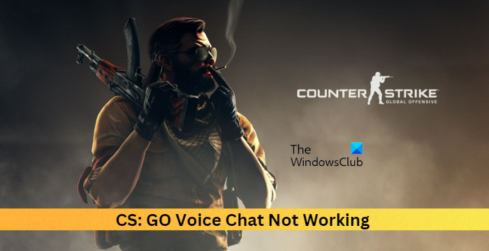 CS: Go Chat de voz no funciona [arreglado] - Tiempo de Frikis