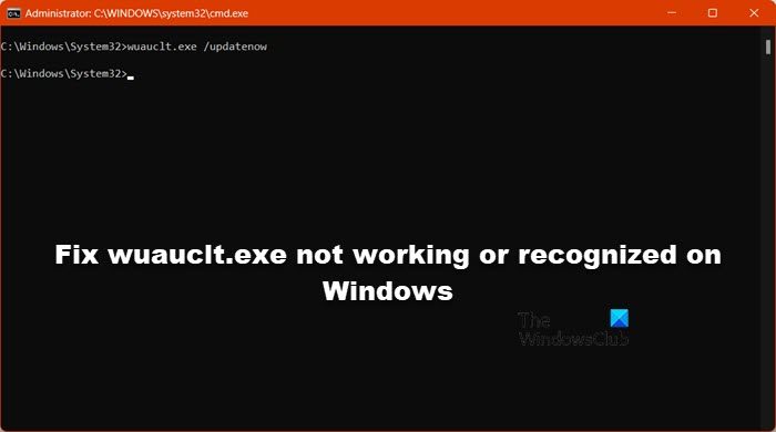 Repare wuauclt.exe que no funciona o no se reconoce en Windows 11/10 ...