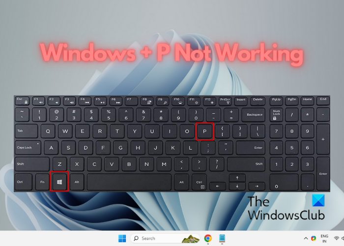 Windows + P no funciona en Windows 11/10 [Solucionar] - Tiempo de Frikis