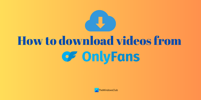 ¿Cómo descargar videos de Onlyfans en una PC con Windows? - Tiempo de