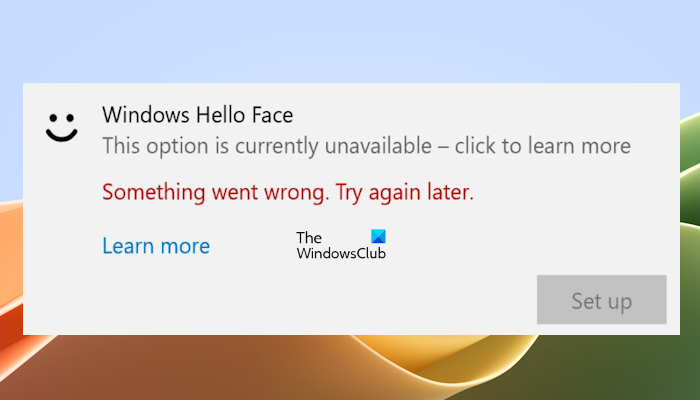 Windows Hello Algo salió mal, error Vuelva a intentarlo más tarde en ...