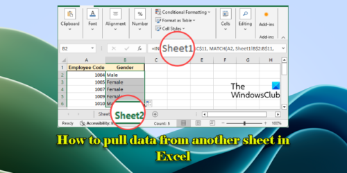 Cómo extraer datos de otra hoja en Excel - Tiempo de Frikis