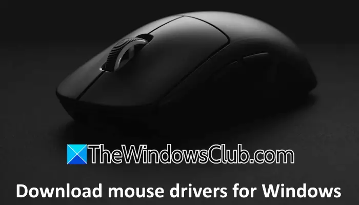 Téléchargez les pilotes de souris pour Windows 11