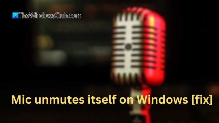 Il microfono si riattiva su Windows 11 [fissare]