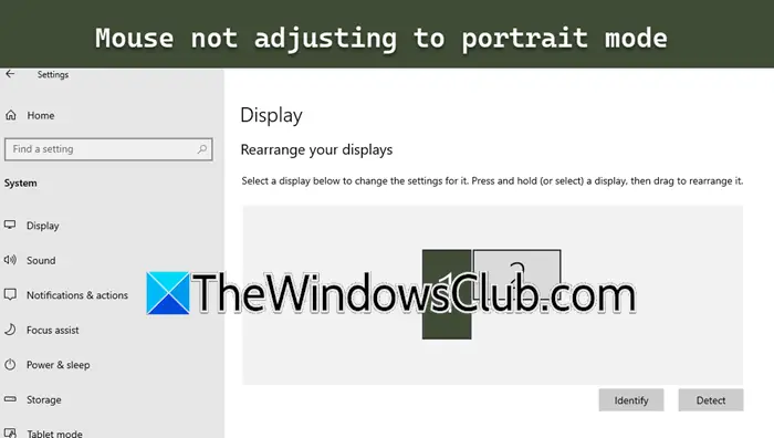 La souris ne s'ajuste pas au mode portrait dans Windows 11