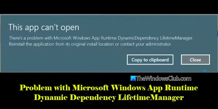 Problema dėl „Microsoft Windows“ programos „DynamicDependency LifeTimeMemanager“