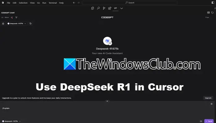 Kaip naudoti „Deepseek R1“ žymeklio AI