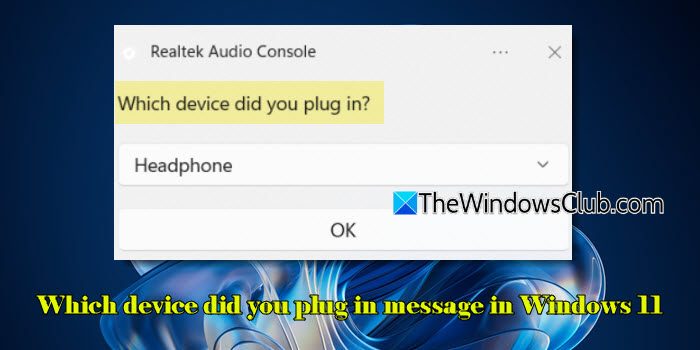 Quel appareil avez-vous branché le message dans Windows 11