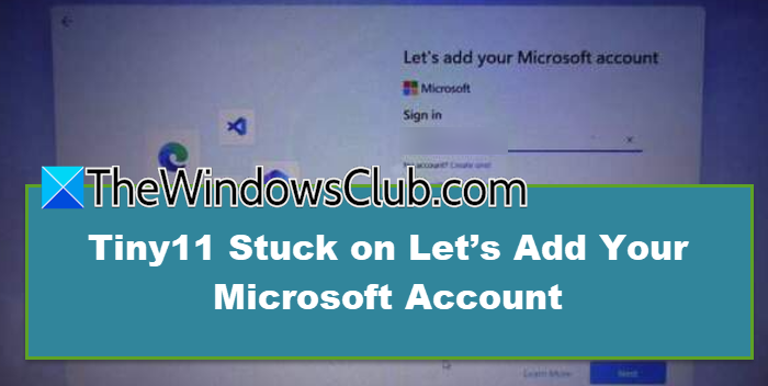 Tiny11 fügen Sie Ihr Microsoft